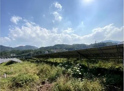 Sistema de monitoramento em nível de módulo fotovoltaico ajuda usinas fotovoltaicas a melhorar a efi