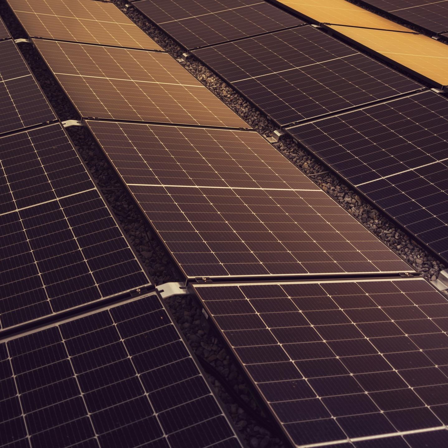 Por que o RSD em nível de módulo é fundamental para instalações solares tailandesas(pic1)