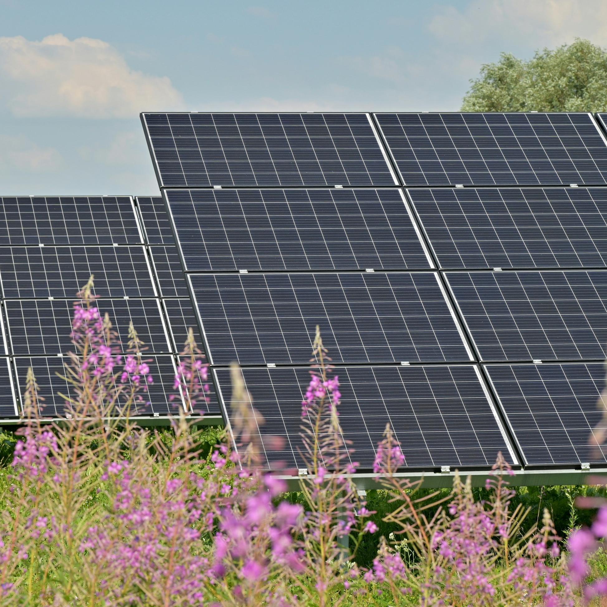 Por que o RSD em nível de módulo é fundamental para instalações solares tailandesas
